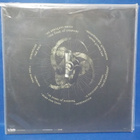 DISFEAR - MISANTHROPIC GENERATION M-/M- GER 2008 REISSUE LP - pikkukuva 2