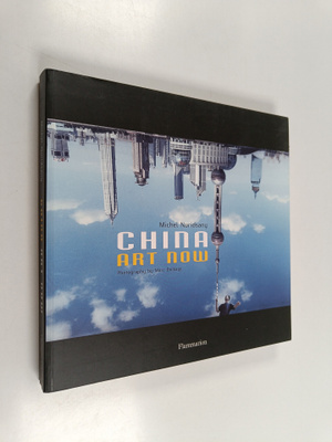 Michel Nuridsany : China art now