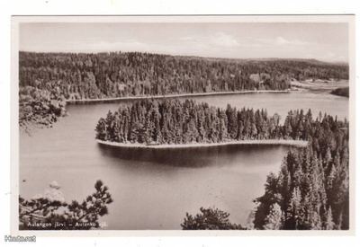 HÄMEENLINNA / AULANKO: LUSIKKANIEMI (A. Olsson n:o 16)