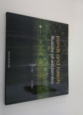 Janne Löytömäki : Ponds and forests (ERINOMAINEN) : Illus...