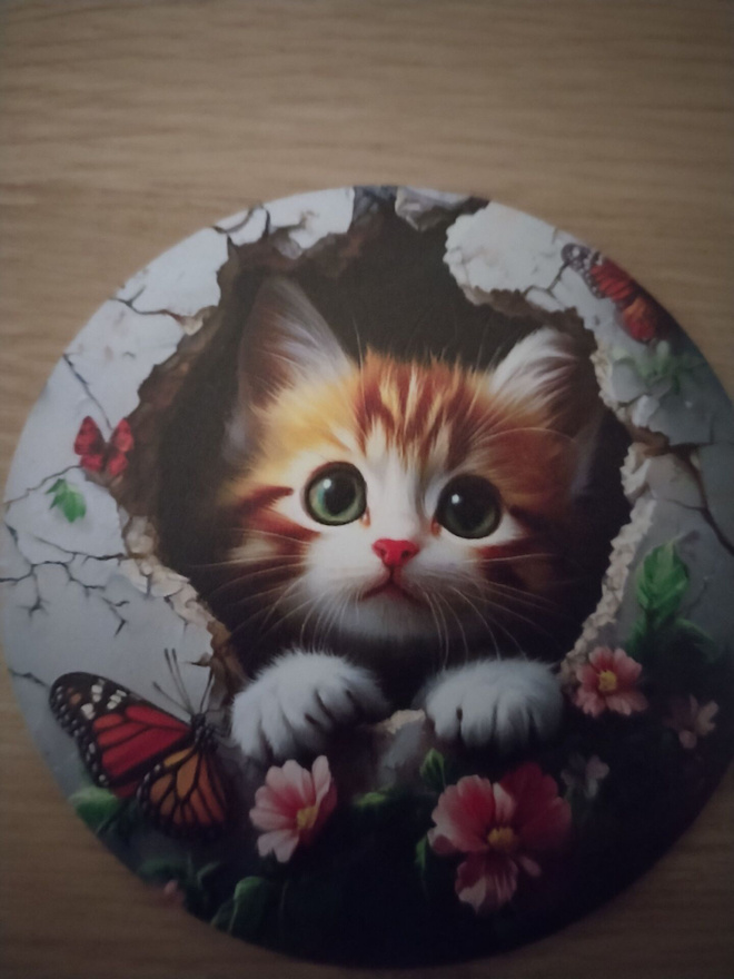 Kissa jääkaappi magneetti