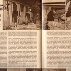 Kotiliesi n:o 15/16 1951 Käpylä. Naispoliisit. Äidin tusina. - pikkukuva 2