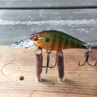Daiwa Prorex BABY CRANK 4cm - pikkukuva 2