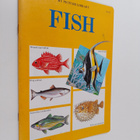 My picture library - Fish - pikkukuva 1