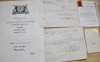 Todella ERIKOINEN Luovari Kokonaisuus Vapauden Mitali 2 lk.