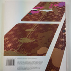 Hidden track : how visual culture is going places - pikkukuva 2