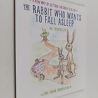 Carl-Johan Forssen Ehrlin : The Rabbit Who Wants to Fall ... - pikkukuva 1