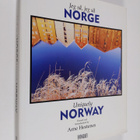 Jeg så, jeg så Norge = Uniquely Norway - pikkukuva 1