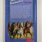 Terri Farley : Mustangien kuningatar - pikkukuva 2