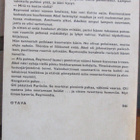 José Giovanni: Riskinsä kullakin, Otava 1969. 240 s. - pikkukuva 3