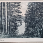 Punkaharju postikortti+negatiivi - pikkukuva 1