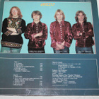 Grizzly - Neon city LP - pikkukuva 2