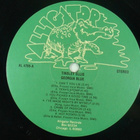 TINSLEY ELLIS: Georgia Blue * UK 1988 - pikkukuva 2