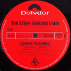 STEVE GIBBONS BAND :: DOWN IN THE BUNKER :: VIYYLI LP 1978 ! - pikkukuva 4