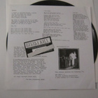 Bikini Kill 12" 1998 USA The Singles - pikkukuva 5
