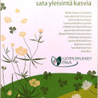 kortti ** Luonnonkukkien päivä - erilaisia - pikkukuva 4