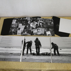 FESTERDAY - The Four Stages Of Decomposition LP - pikkukuva 2
