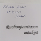 Sirkka-Liisa Sandelin-Nertamo : Ruohonjuuritason mönkijä ... - pikkukuva 3