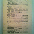 Hänninen Kaarlo: Kiveliön karkurit, v. 1923 - pikkukuva 5