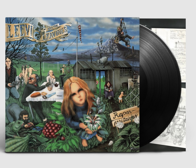 LEEVI AND THE LEAVINGS: Raparperitaivas - LP