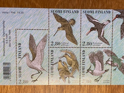 KAHLAAJALINTUJA**