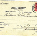 Tyttönen ja koirat - Carte Postale, kulk. 1904 - pikkukuva 2
