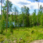 Nyt 2900 € kiinni rantatonttiin 3,9 ha erämaalammelta Jaala - pikkukuva 5