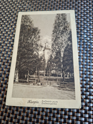 00 Kuopio Snellmanin puisto