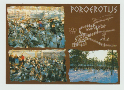 Poroerotus (T)