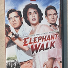 Norsupolku (1954) Elizabeth Taylor - pikkukuva 1
