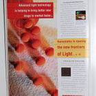 Scientific american vuosikerta 2005 (1-12) - pikkukuva 2