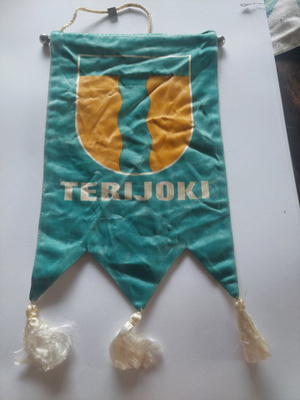 VIIRI TERIJOKI