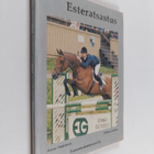 Anne Saarinen : Esteratsastus - pikkukuva 1