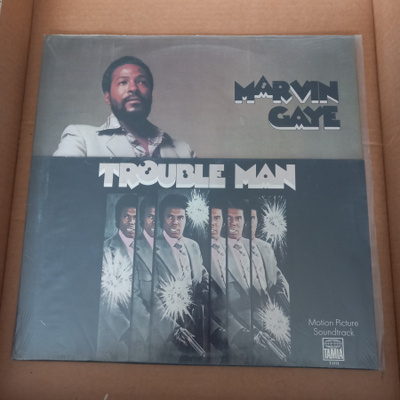 Marvin Gaye : Troubleman >>[LP]