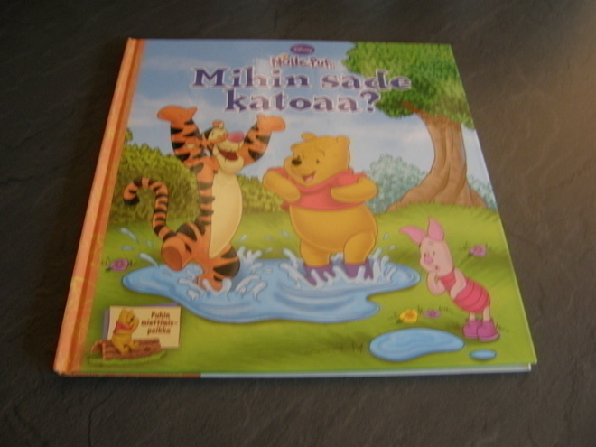 Disney Nalle Puh Mihin sade katoaa?