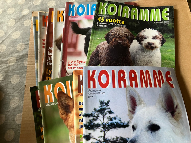 KOIRAMME LEHTI VUOSIKERTA 2006 HYVÄ