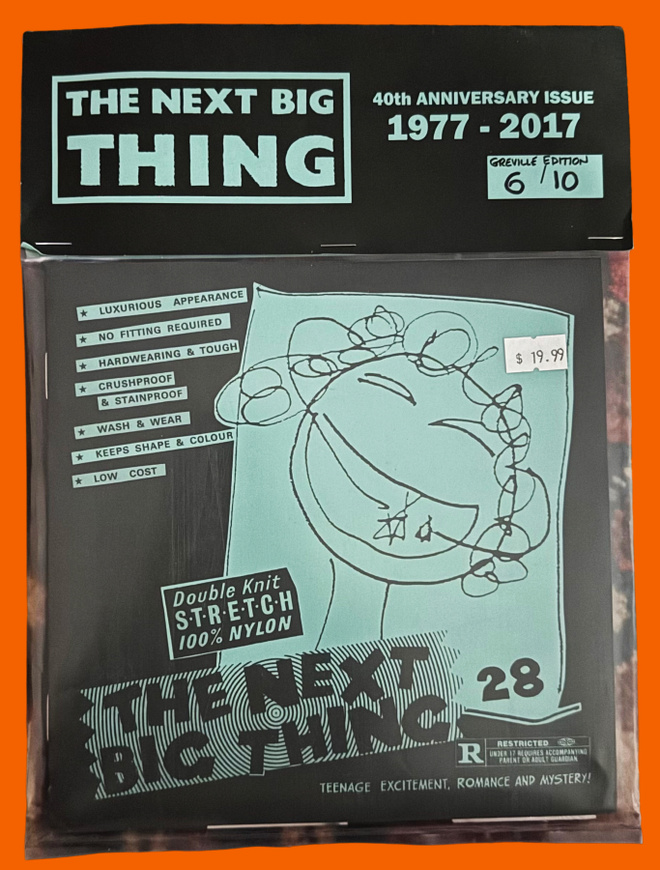 THE NEXT BIG THING 40th Anniversary ZINE 2017 + Dahlmans 7"