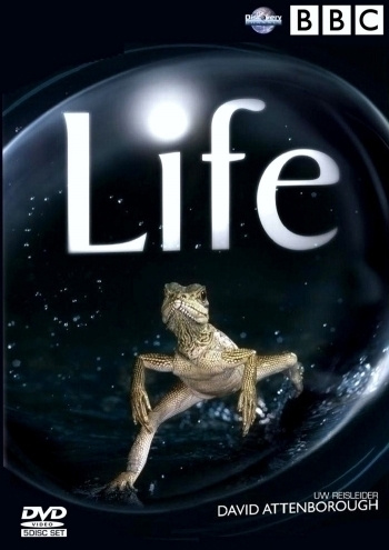 LIFE (BBC EARTH, 4 DVD)	(32 545)	-FI-	DVD	(4)		4 dvd=9h 49mi