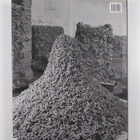 Anish Kapoor : Anish Kapoor - pikkukuva 2