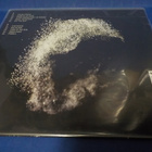 SIMIAN MOBILE DISCO - TEMPORARY PLEASURE EX-/VG++ LP - pikkukuva 2
