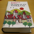 Gottfried Keller: Seldwylan asukkaat 1-2 - pikkukuva 1