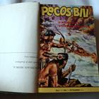 Pecos bill vuosikirja 1964 - pikkukuva 5