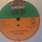 DAVID FOSTER :: RIVER OF LOVE :: VINYYLI 7" 1991 - pikkukuva 4