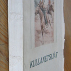 Kapteeni Owen Vaughan: Kullanetsijät, Kirja 1920. 208 s. - pikkukuva 3