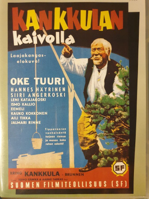 DVD: Kankkulan kaivolla