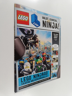 Lego life