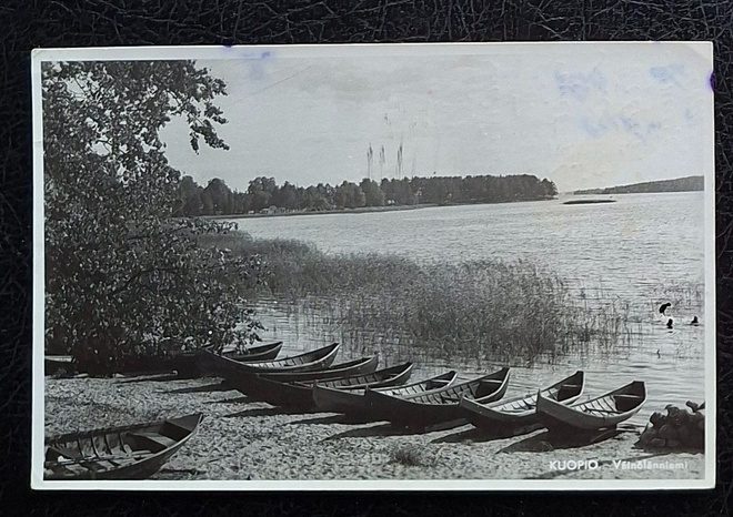 Kuopio Väinölänniemi