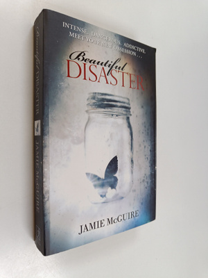 Jamie McGuire : Beautiful disaster