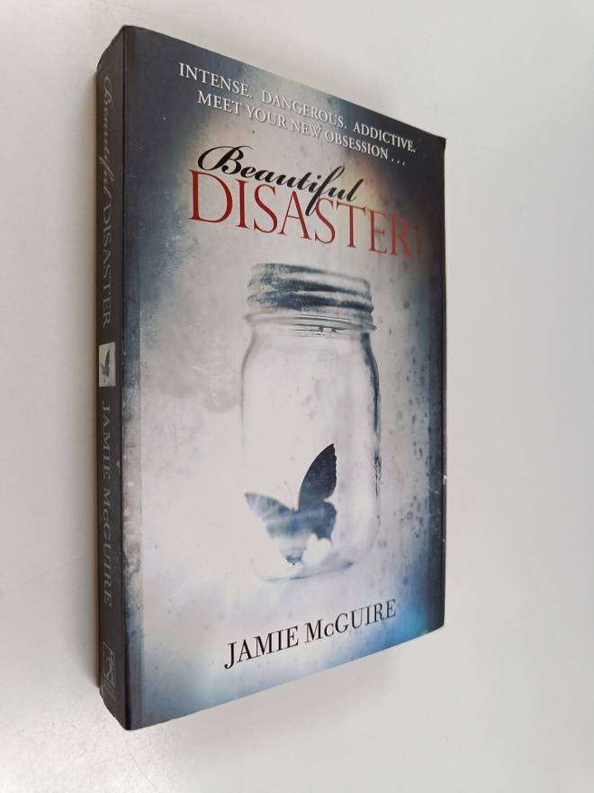 Jamie McGuire : Beautiful disaster