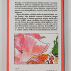 Roald Dahl : Ilmarin ihmelääke - pikkukuva 2